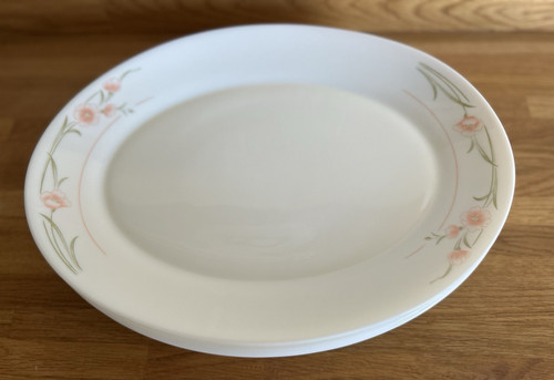 Vtg mcm 1970 pyrex steak - vtg,