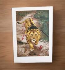 Antique 1899 African Lion on A Blood Trail By J.T. Nettleship Book Print Picture