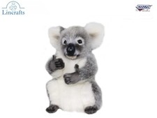 Koala Bear Plush Soft Toy by