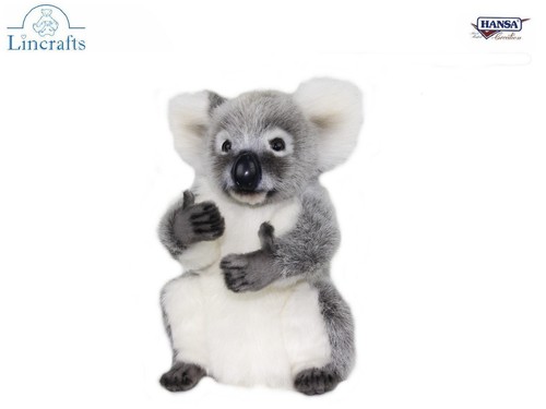 Koala bear plush - soft, by