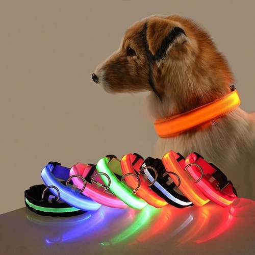 Light led dog - up,