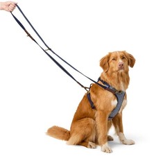 Multifunctional Dog Lead