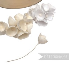 12 Stems 'Claudia' Small Silk