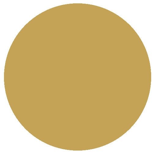 Railmatch 2256 ews gold - railmatch,