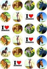24 Horses Horse Riding Cupcake