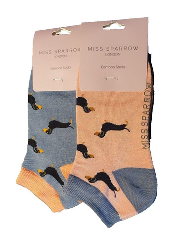 Miss sparrow dachshund - miss, socks