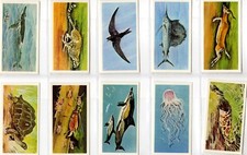 Brooke Bond. A full set, 50