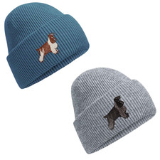 BLUE & ORANGE ROAN COCKER