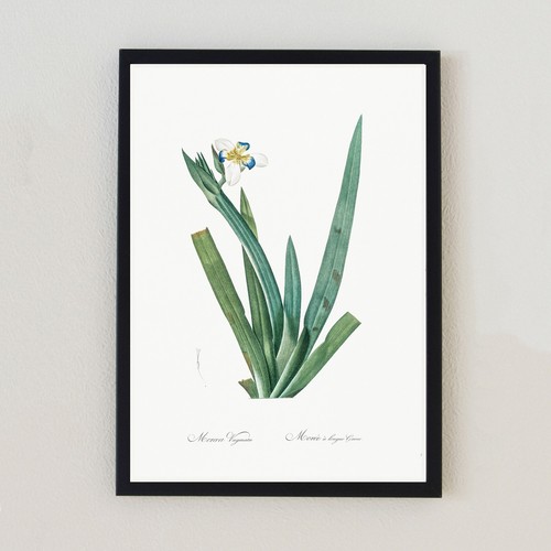 Vintage botanical plant - vintage,