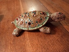 Gorgeous Ornate Turtle
