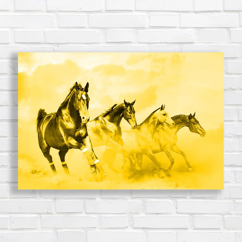 Monochromatic grey horses - grey,