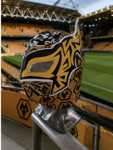 Wolverhampton wolves raul - wolverhampton,