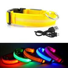 LED Dog Pet Collar USB