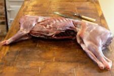 Plump WHOLE WILD DEER VENISON