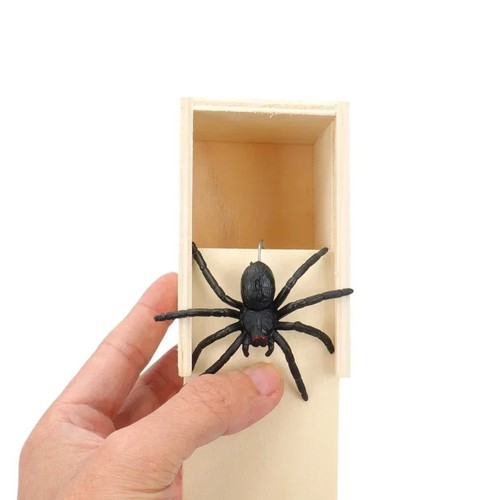 Spider box prank wooden - spider, in