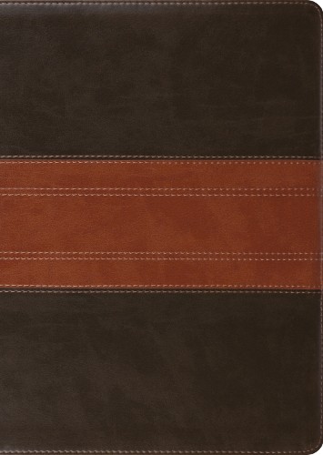 Esv study bible large print - study, bible,