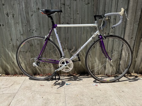 Raleigh dynatech vintage - dynatech, road