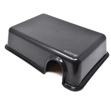 Reptile Snake Gecko Lizard