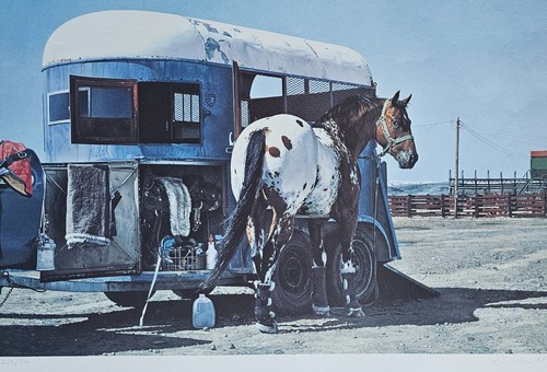 Richard mclean horse trailer - richard,