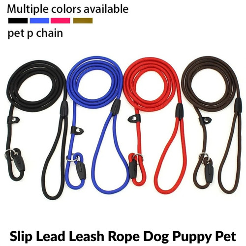 Slip lead leash rope - lead, puppy