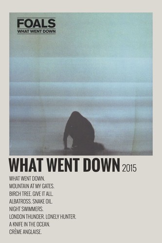 Foals what went - went, a4
