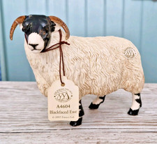 Vintage Border Fine Arts Pottery Company - A4604 Blackfaced Ewe - 2005 Enesco