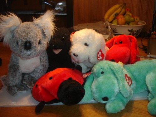 Retired beanie buddies - beanie,