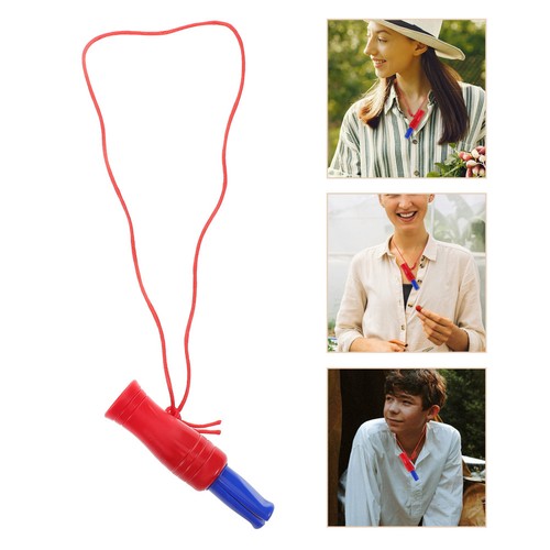 Funny call whistle duck - funny,