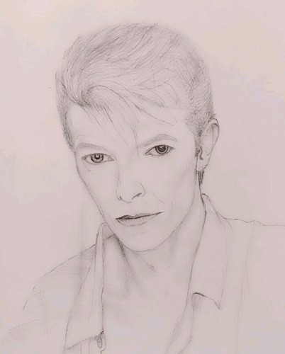 Pencil sketch art portrait of - sketch,