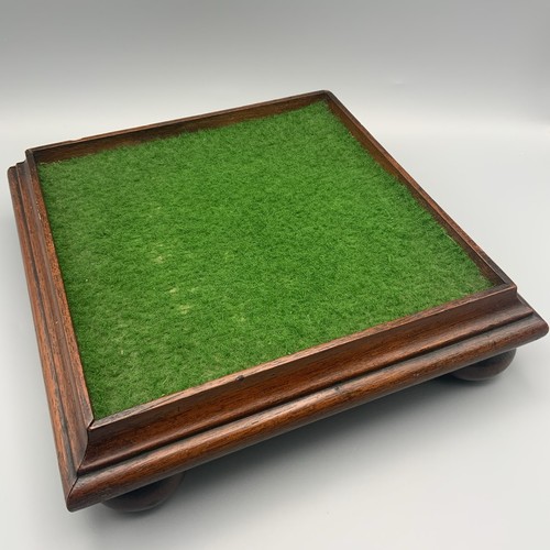 Antique victorian taxidermy - victorian,