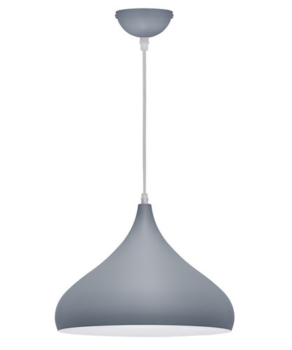 Modern vintage indoor ceiling - modern,