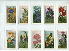 Wild Flowers 1961 Typhoo Tea Cards - Full Set of 24 Cards