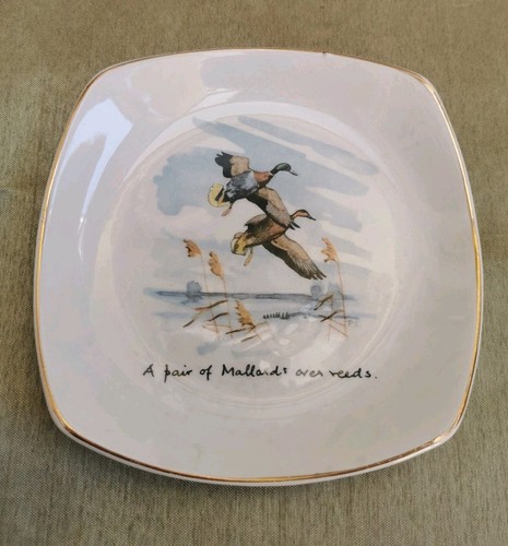 Vintage midwinter pottery - vintage,