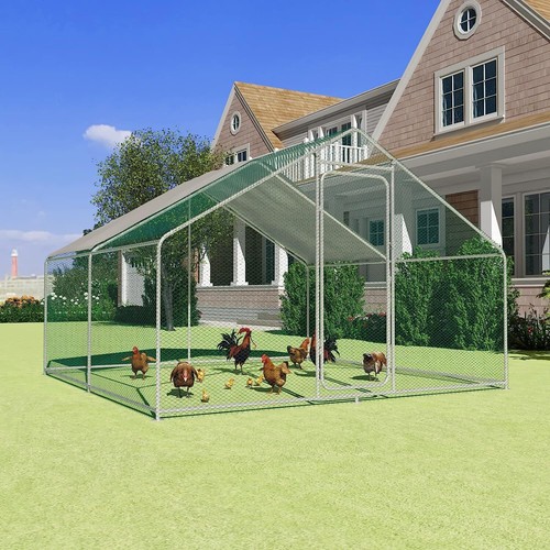 Large walk chicken coop - large,