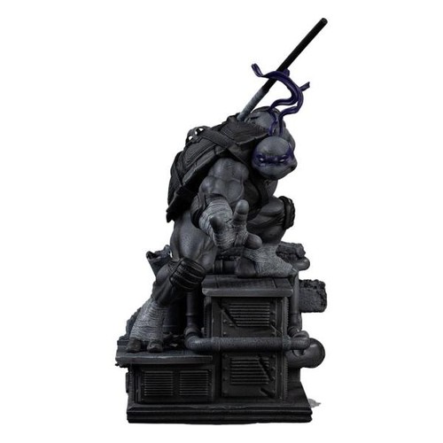 Teenage mutant ninja turtles - ninja,