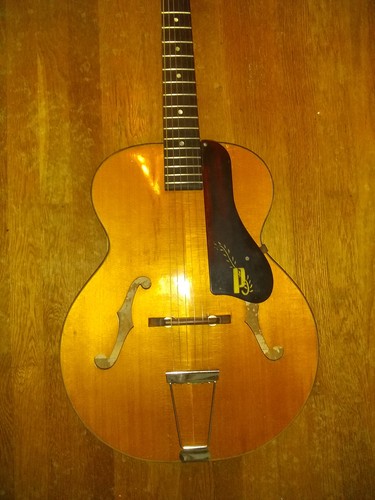 Vintage harmony patrician - vintage,