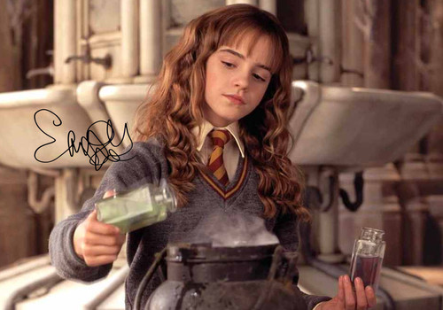 Harry potter hermione - harry,
