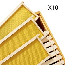 10pcs Assembled Langstroth