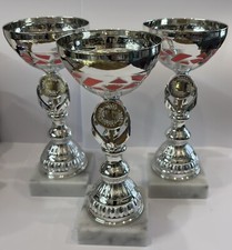 Silver  Cup Trophy Any Sport