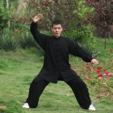Summer Cotton Tai chi Uniform Kung fu Suit Martial arts Wushu Wing Chun Clothes