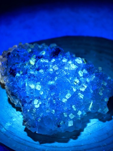 Fluorescent petroleum - fluorescent,