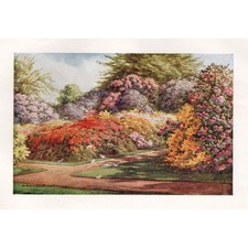 ASHFORD Kent Gardens at