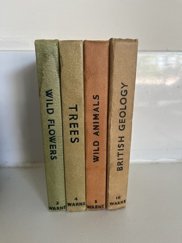 Observers book vintage - 4,