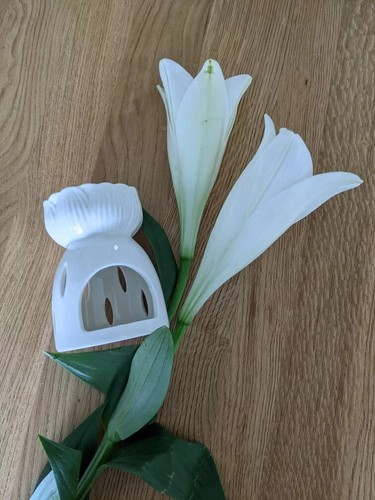 Lotus oil burner joblot - oil,
