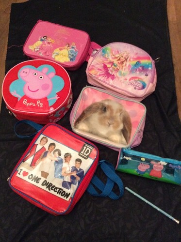 Lunch boxes bundle kids - bundle, 5