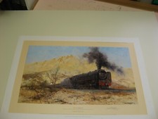 DAVID SHEPHERD  CITY OF