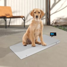 Portable Digital Livestock Vet