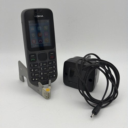 Nokia 100 grey mobile - 100,