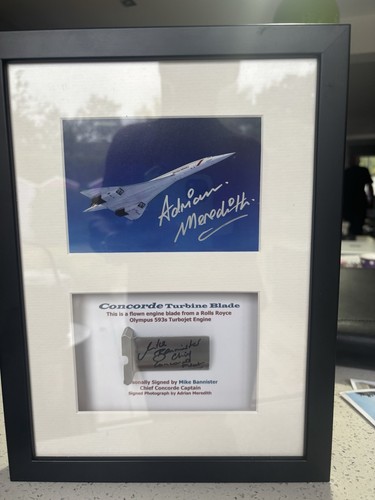 Framed concorde turbine blade - framed,
