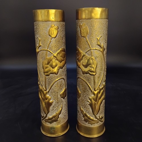 Pair brass shell - shell, case